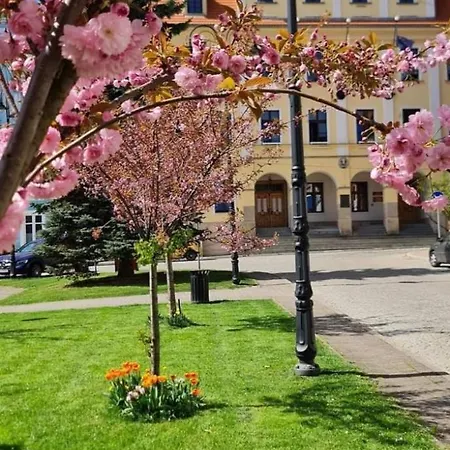 Apartment Z Kominkiem Retroglam Mieroszow
