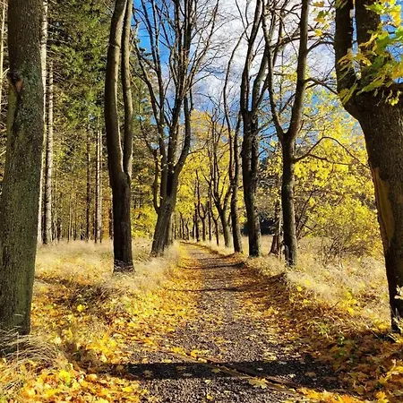 Z Kominkiem Retroglam *