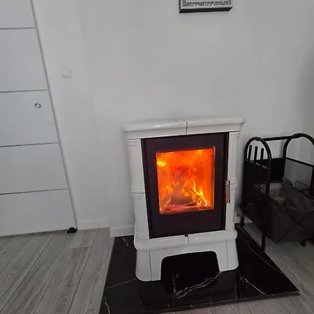 Z Kominkiem Retroglam アパート