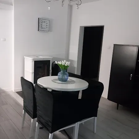 Z Kominkiem Retroglam Apartment Mieroszow