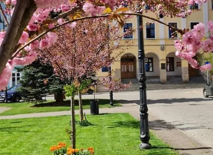 Apartment Z Kominkiem Retroglam Mieroszow