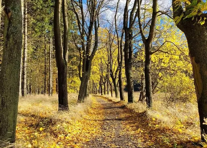 Z Kominkiem Retroglam *